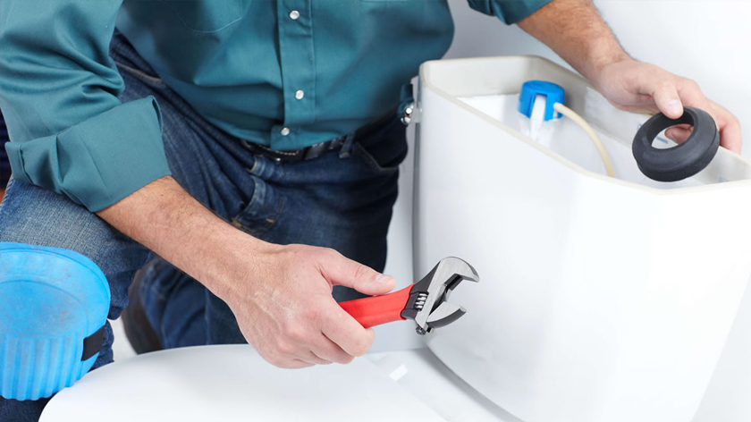 bồn cầu toto không bơm nước