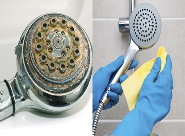 cách làm sạch vòi hoa sen inox